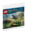 LEGO Harry Potter: Quidditch Practice Polybag (30651)